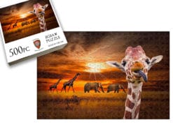 Giraffe Photobomber