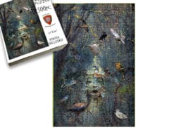 Forest Bird Jamboree