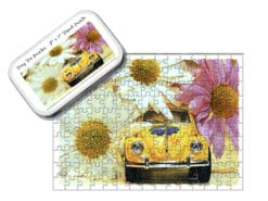 Bug In The Daisies