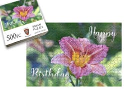 Happy Birthday-Daylily