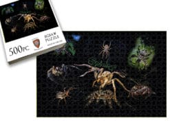 Spider