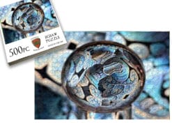 Serpent Blue