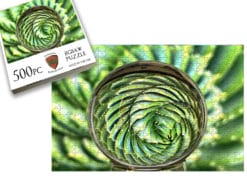 Spiral Cactus