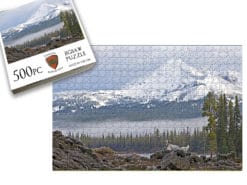 Setter At Sparks Lake