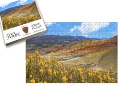 Painted Hills Wildflowers
