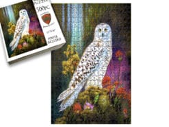 Spring Forest Owl
