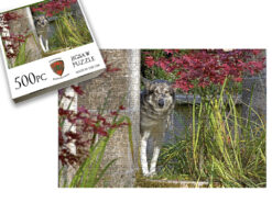 Wolf In The Secret Garden